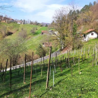 Šentrupert - ZEMLJIŠČE