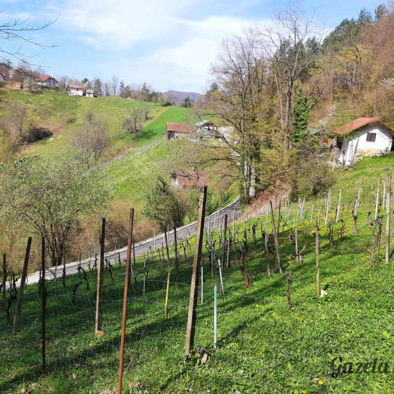 Šentrupert - ZEMLJIŠČE