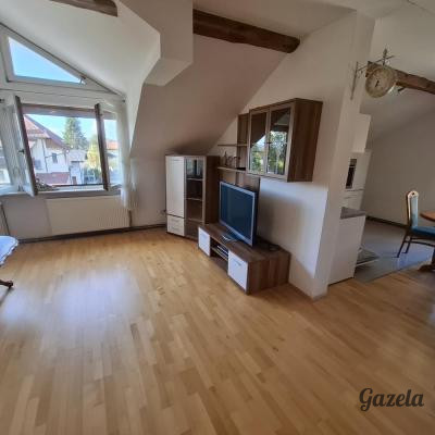 Brezovica pri Ljubljani - STANOVANJE