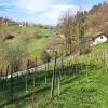 Šentrupert - ZEMLJIŠČE
